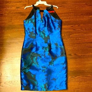 Carmen Marc valvo dress